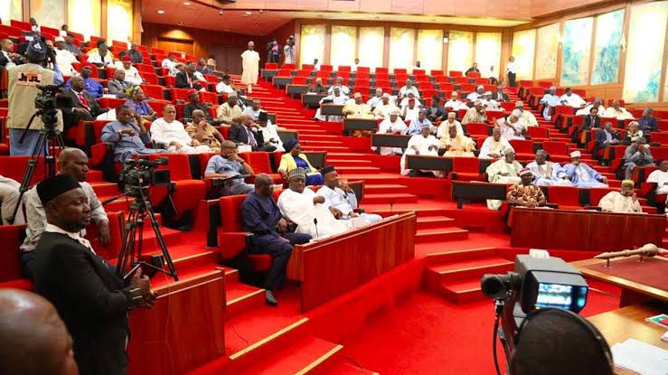 Nigerian Senate should be scrapped – Rep member