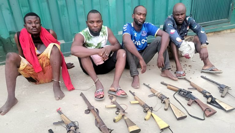 Notorious FCT Robber “Pounds and Dollar” Apprehended by Police [theupdate.ng]