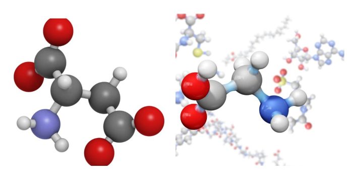 A polypeptide is a sequence of? a. proteins b. amino acids