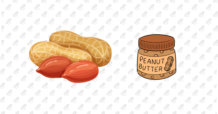 Difference Between Groundnut and Peanut