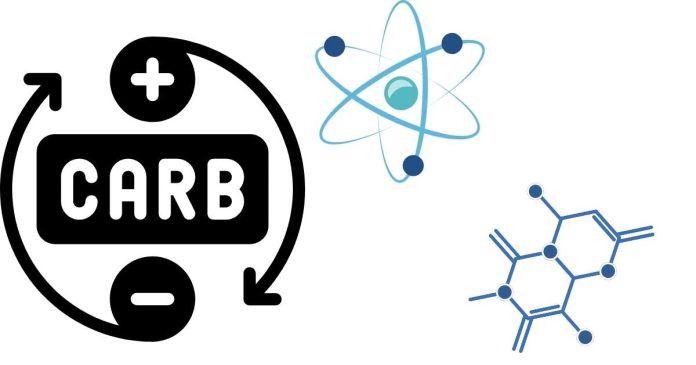 Which elements do carbohydrates contain, and in what ratio?