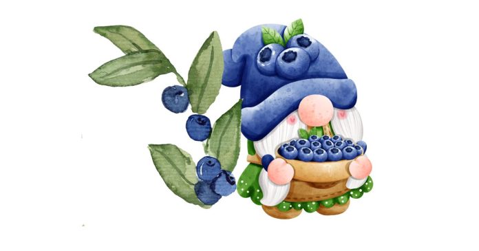 How Many Ounces Is A Pint Of Blueberries?