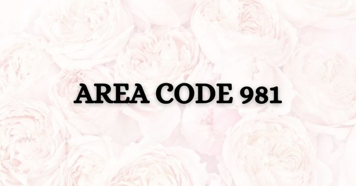 Where is telephone area code 981?