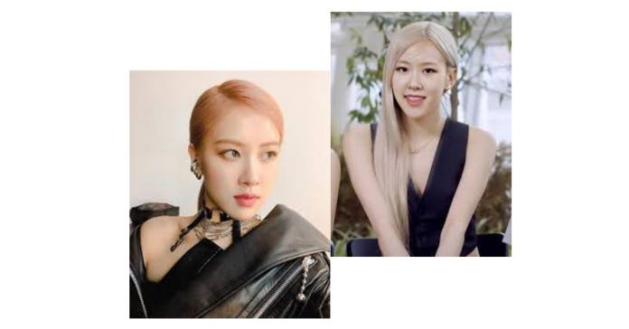 Who Is Rosé Park?