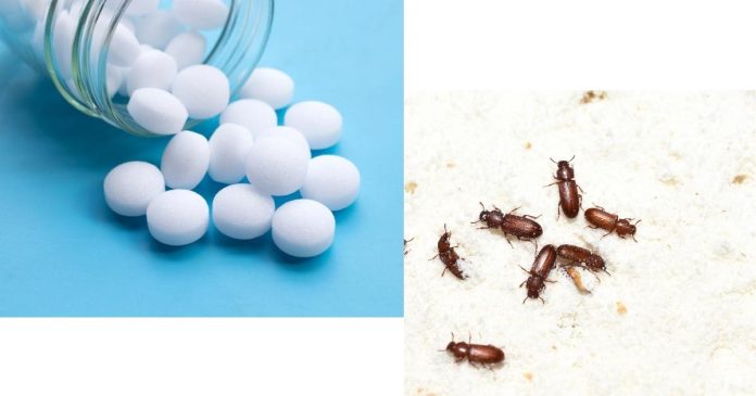 Why is it not recommended to use mothballs for repelling pests?