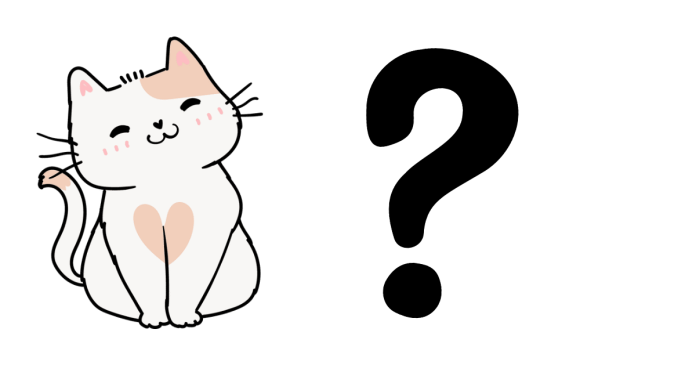 what does kitty mean in Chinese