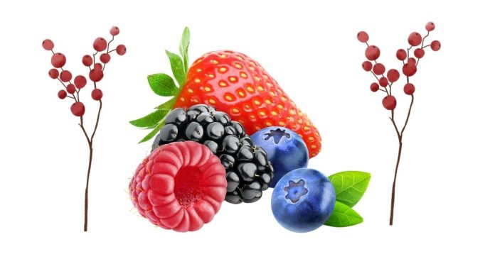 A Cool Guide About Types of Berries.