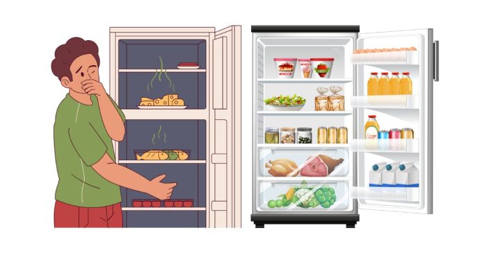 After an 8-Hour Power Outage, How Much of the Food in Your Fridge Should You Discard?