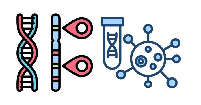 Are BB, Bb, and bb Examples of Dominant or Recessive Traits?