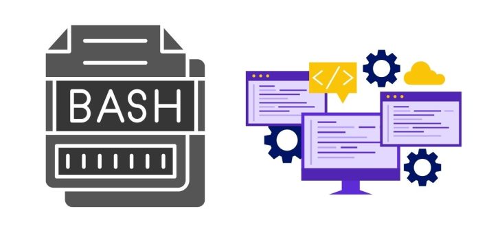 Mastering the Bash If Statement