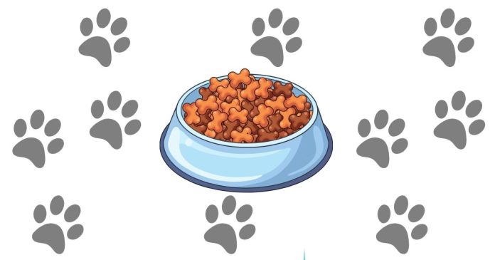 Best Dog Food Brands: Is Farmer’s Dog Worth It?