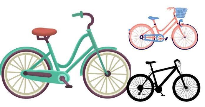 Eligibility and Process for Obtaining Cost-Free Bicycles for Higher Secondary, First-Year Students in India