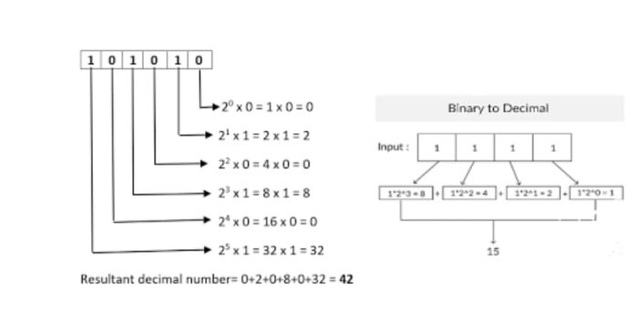 Binary to Decimal Converter