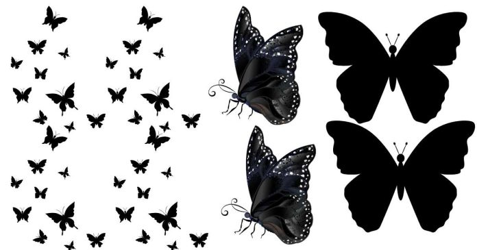 Why Did a Black Butterfly Approach Me After I Was Diagnosed with a Health Condition?