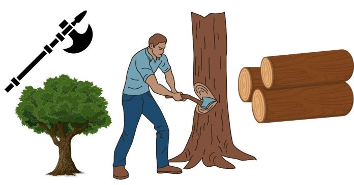 Can You Cut Down Trees with a Halberd in RuneScape?