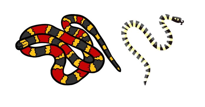 Can You Please Stop Using the Rhyme for Coral Snakes?