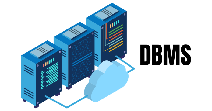 Components of DBMS