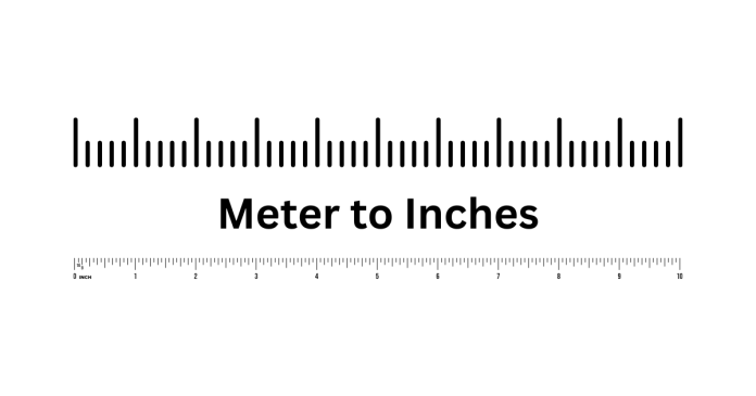 Convert Meter to Inches Online Calculator