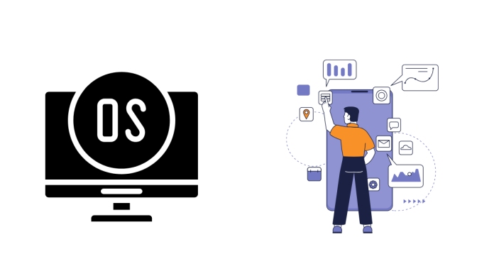 Difference between Operating system and Application