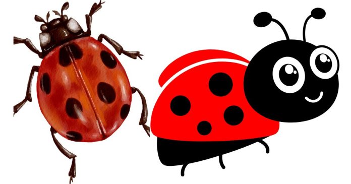 Do Ladybugs Bite?