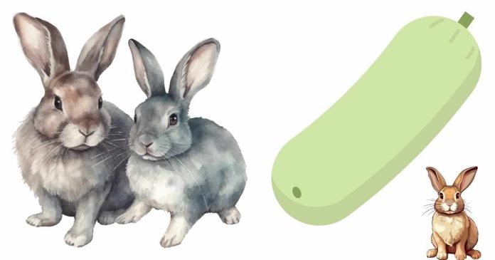 Does rabbits eat winter melon?