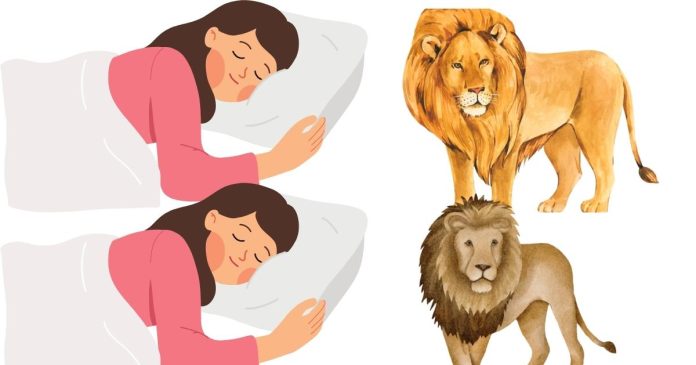 What Does It Mean When You Dream About Lions Walking Around and Feeling Fearful?