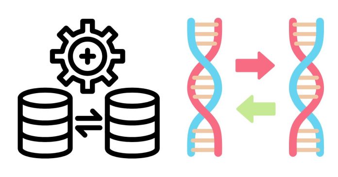 Explain the Difference Between Repetition and Replication