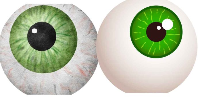 What helps maintain the eyeball's spherical shape?