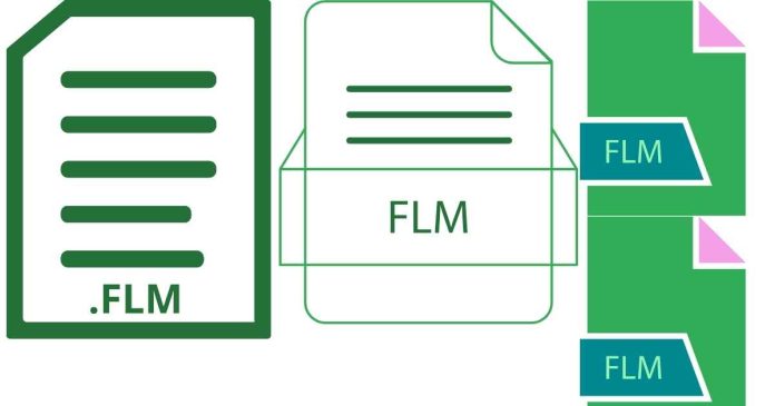 What is the full form of FLM in RBI terms?