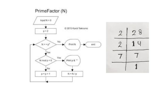 Factors of 28 Prime Factorization & Factor Tree of 28