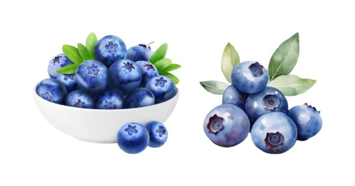 How Do You Say ‘Blueberries’ in Spanish?