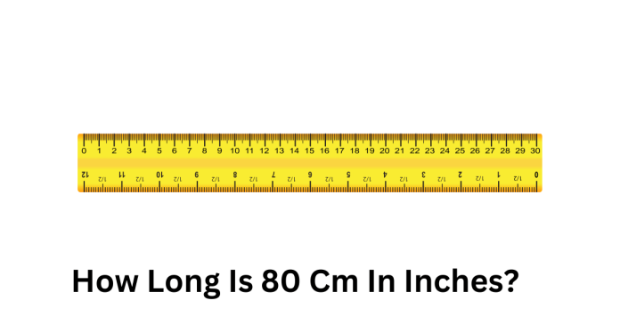 How Long Is 80 Cm In Inches?