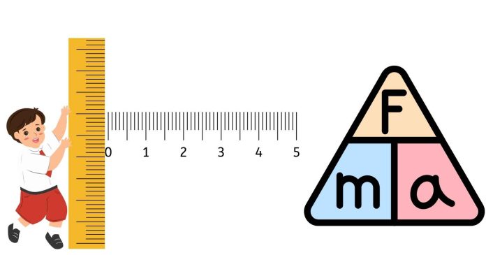 How Many Centimeters is One Newton?