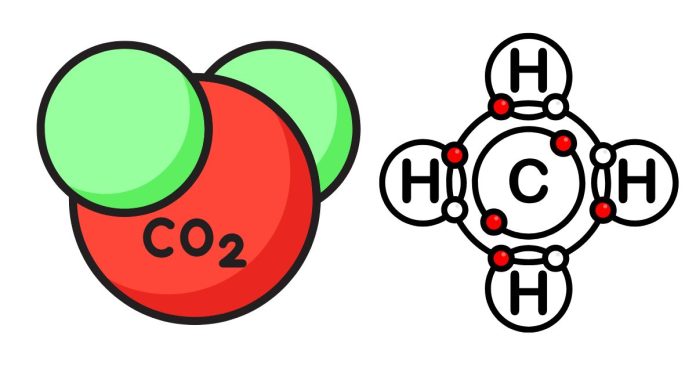 How Many Covalent Bonds Can Each Carbon Atom Form?