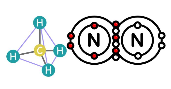 How Many Covalent Bonds Can a Typical Carbon Atom Form?