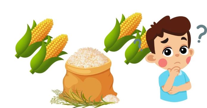 How Many Cups Equal 6 Ears Of Corn?