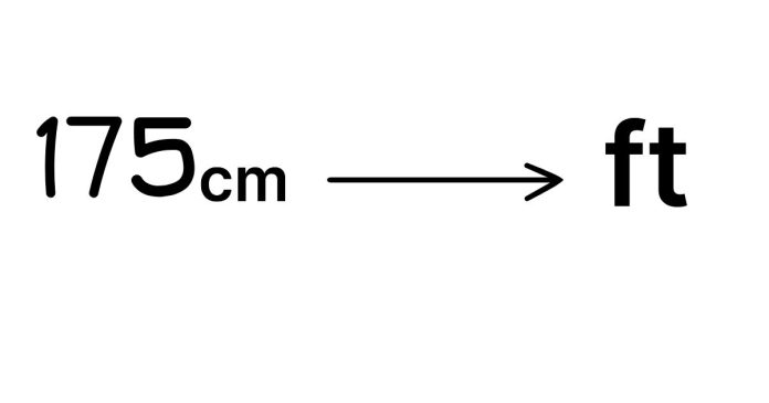 How Many Feet Is 175 cm?