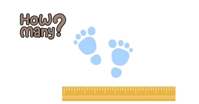 How Many Feet are in 167 Centimeters? 