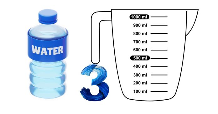 How Many Water Bottles Equal 3 Liters?