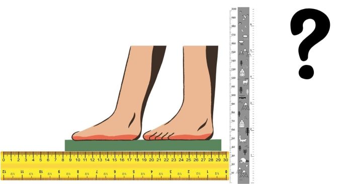 How Tall is 1.86 Meter in Feet and Inches?