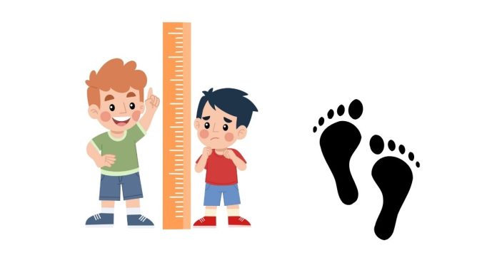 How Tall is Two Meters in Feet?