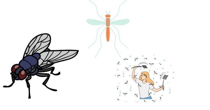 How To Kill Those Pesky Fruit Flies / Gnats Flying Around Your Home