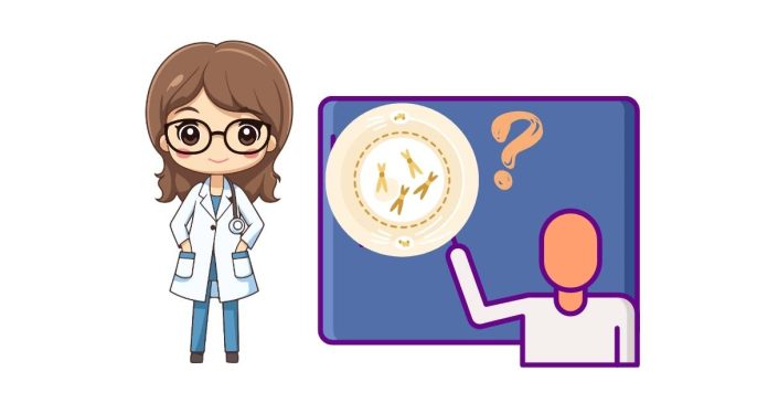 How are mitosis and meiosis similar?