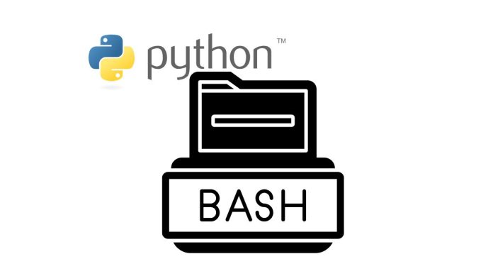 How can I run Bash commands in Python?