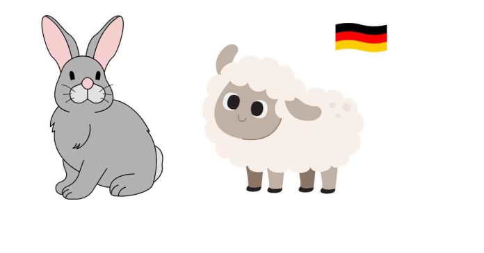 How do you say my Favorite Animal is, in German?