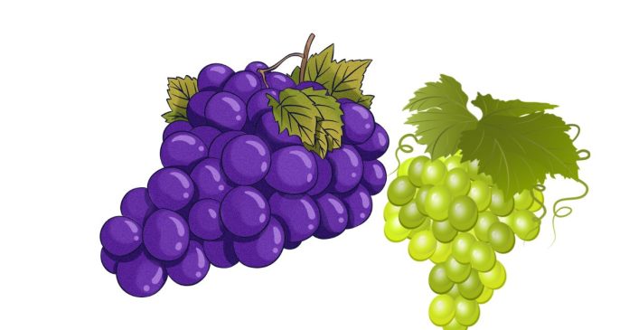 How many Calories are in Grapes?