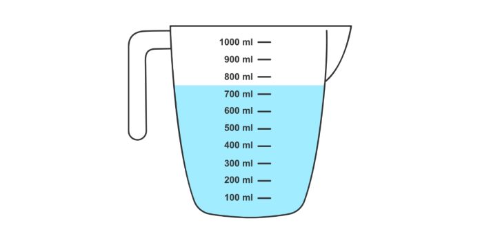 How many cups of water equals a liter