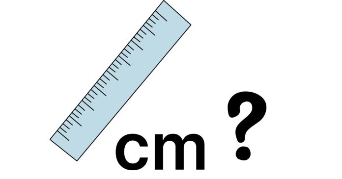 How Many Inches are in 91Cm × 61Cm in Inches for Each?