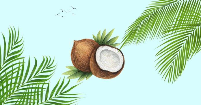 How much Coconut is in a can of Baker's Angel Flake?