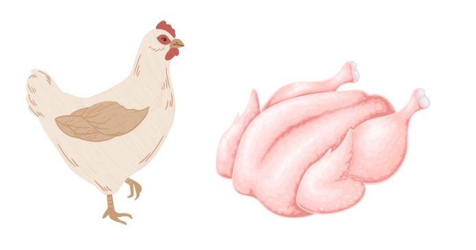 How much do chicken breasts weigh?